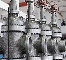 Gate Valve