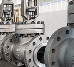 Globe Valve