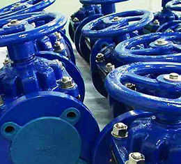 Diaphragm Valve