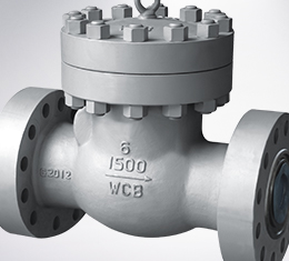 Check Valve
