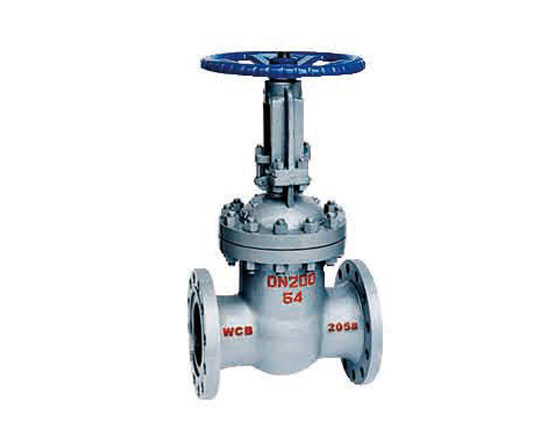 Manual Stainless Steel Gate Valve